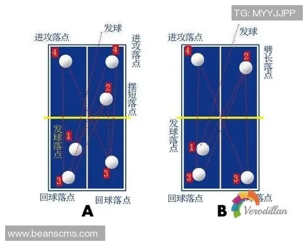 武汉乒乓球队的节奏与战术分析探讨及未来发展方向研究