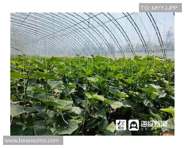 塔什干棉农与萨德的较量:一场关于农业与科技的深度对话