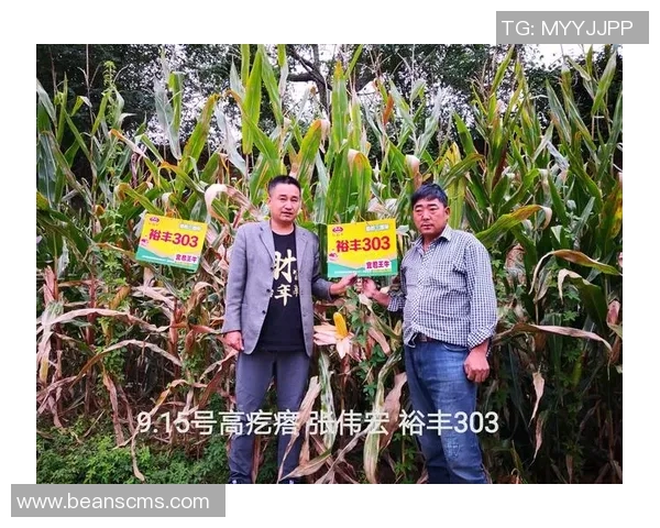 头号种子与三号种子的巅峰对决谁将赢得最终胜利